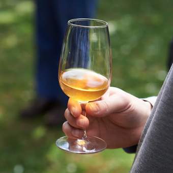 A hand holding a glass of cider